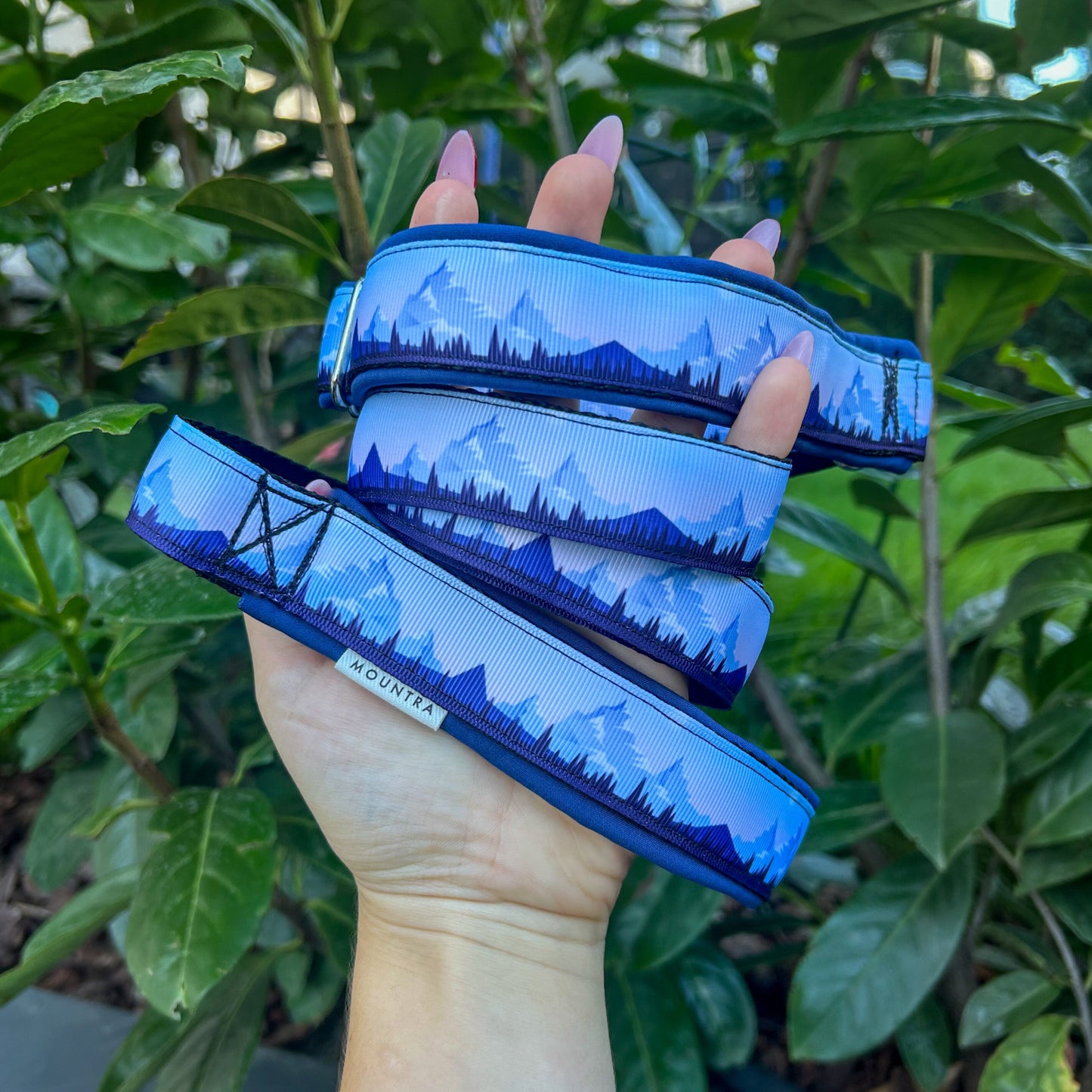 Agility-Leine "PEAK"