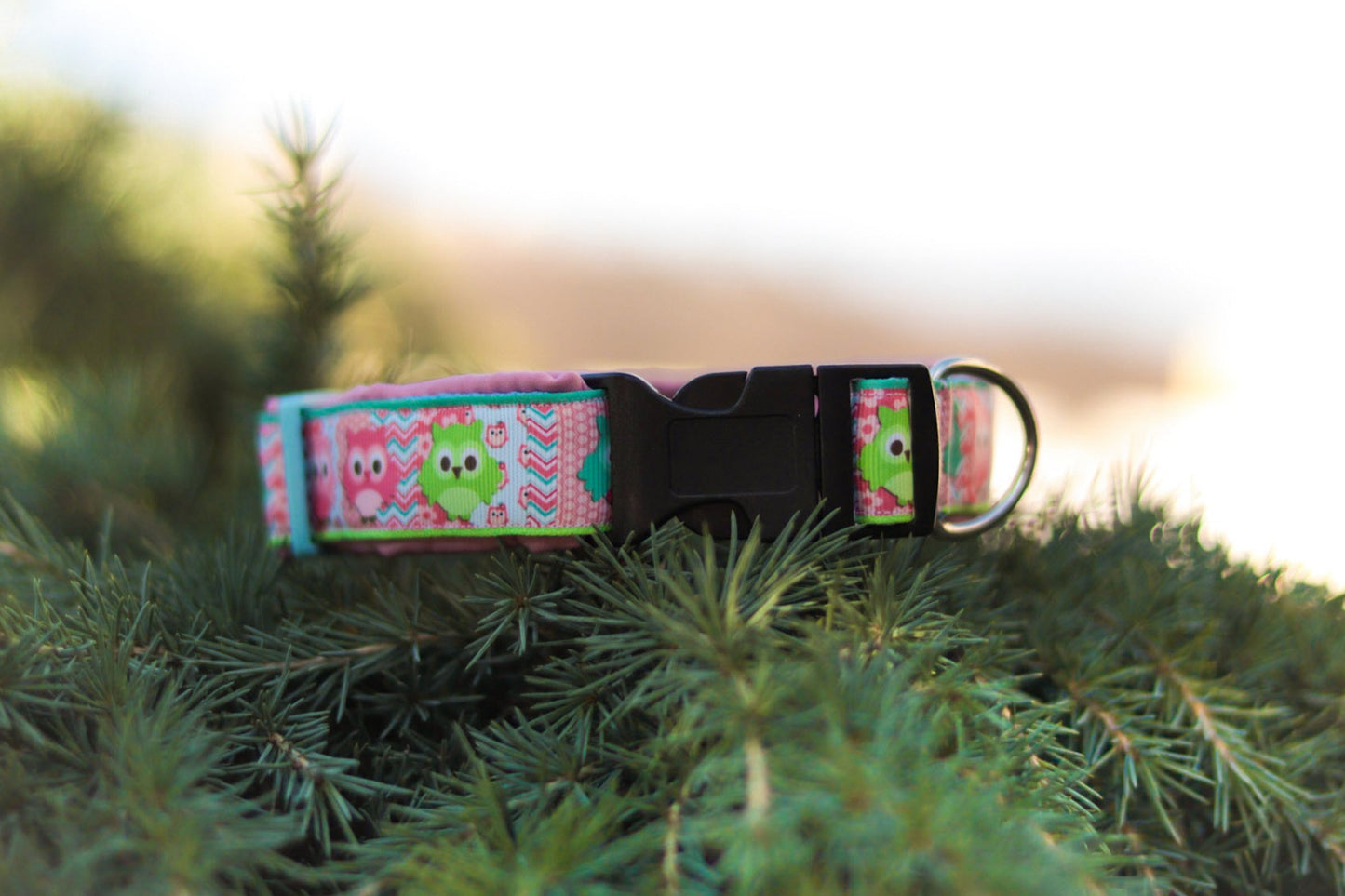 Softshell Hundehalsband "Owls"