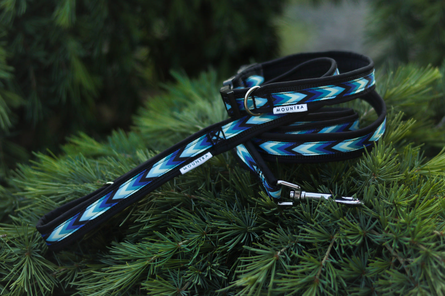 Softshell Hundeleine „BluesArrow“