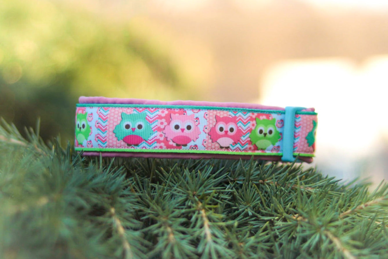 Softshell Hundehalsband "Owls"