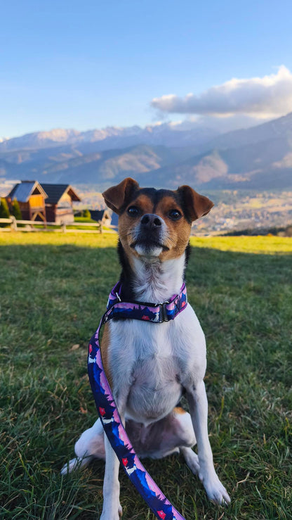 Meadly Agility-Leine