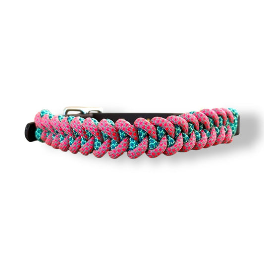 Paracord Halsband "SmallShark"