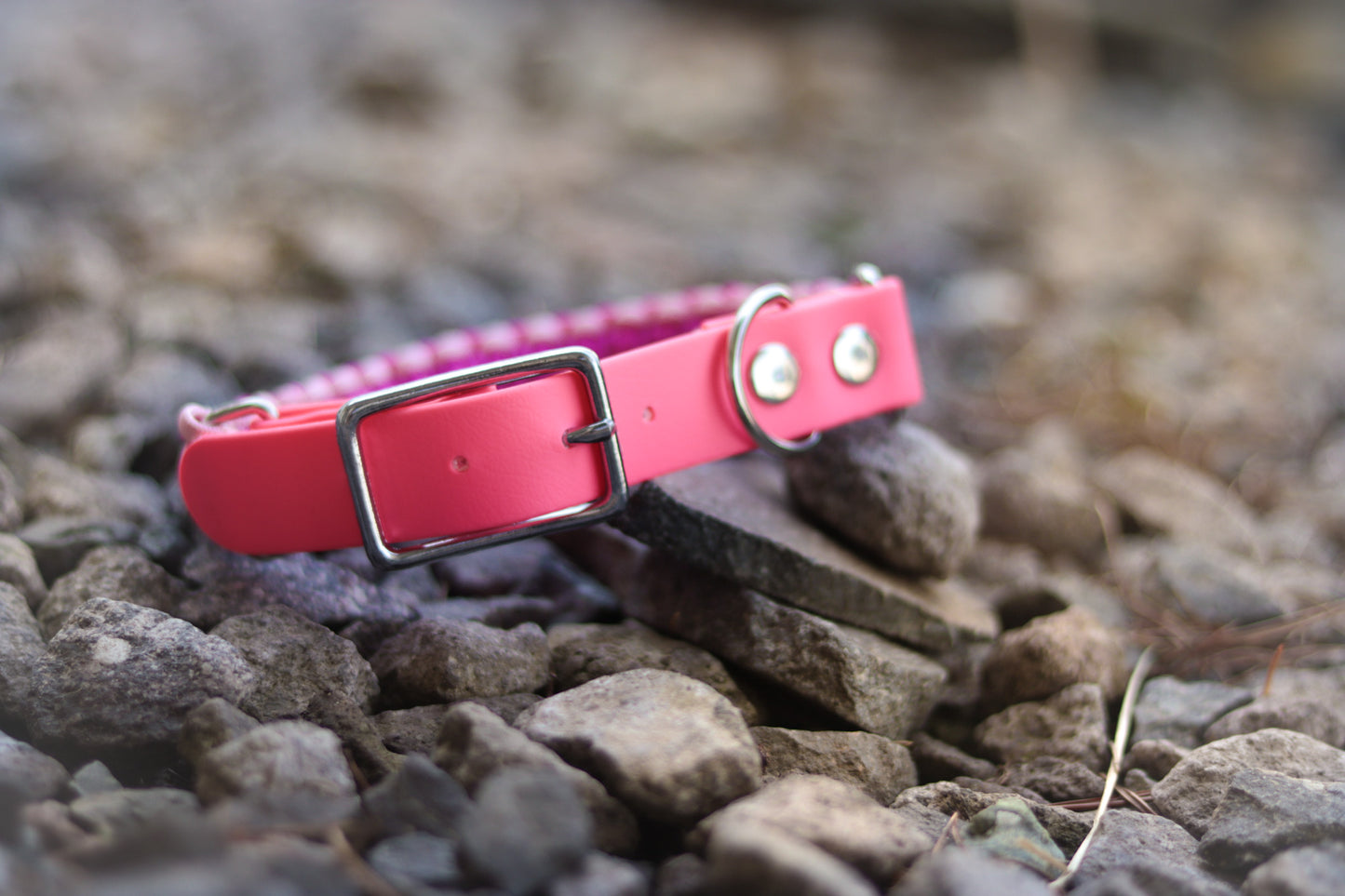 Paracord Collar “DoubleCobra”