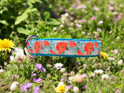 Softshell Hundehalsband "Flowers"